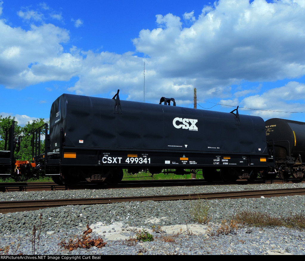 CSX 499341